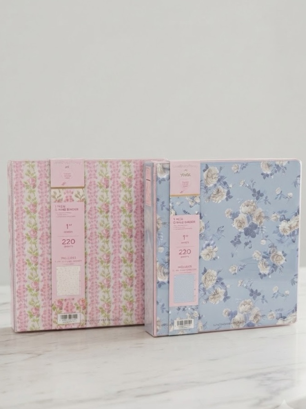 LoveShackFancy Binders Set of 2, Pink and Blue